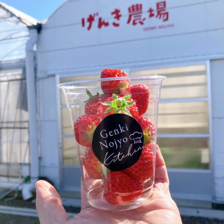 げんき農場