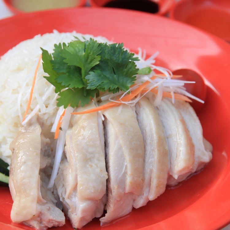 Mr.Chicken 鶏飯店