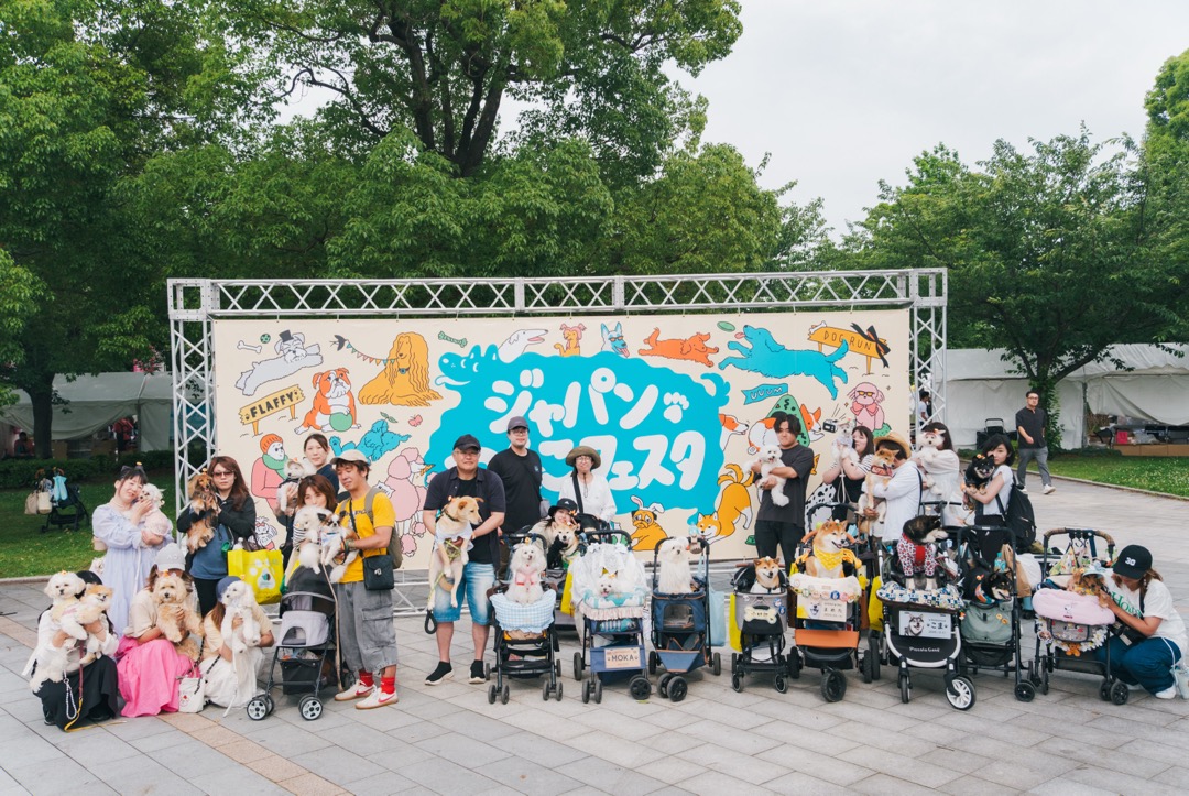 ステージコンテンツ